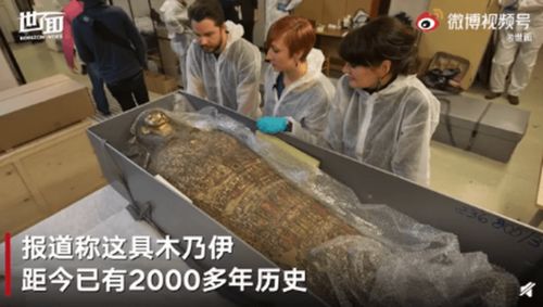 波兰地下挖出32具胎儿遗骸 波兰地下挖出32具胎儿遗骸