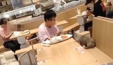 网友称一家连锁餐厅有顾客带狗上桌 网友称一家连锁餐厅有顾客带狗上桌