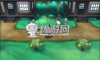 口袋妖怪日与月攻略游戏 VS 狂暴小猫游戏攻略