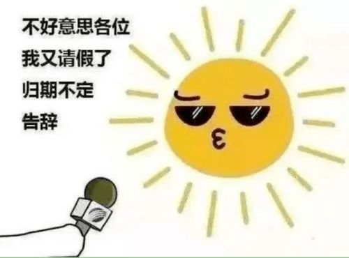 梅雨季来了 请查收你的应对攻略 梅雨季来了 请查收你的应对攻略