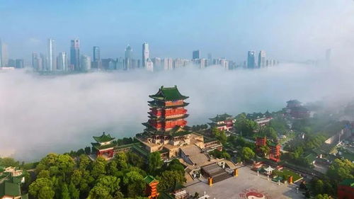 连背三篇古文可终身免费游滕王阁 连背三篇古文可终身免费游滕王阁