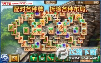 新游戏之旅5手机版攻略 VS 游戏运势攻略