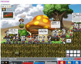 冒险岛2小游戏攻略 VS 插秧游戏攻略 冒险岛2小游戏攻略 VS 插秧游戏攻略