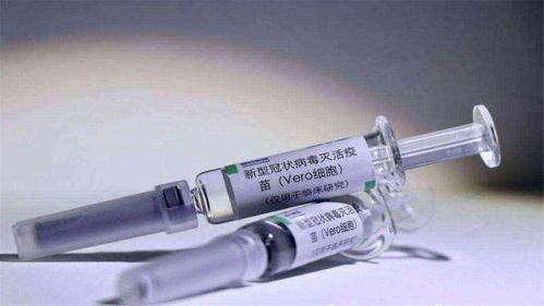 中国空调成欧洲“救命稻草” 中国空调成欧洲“救命稻草”