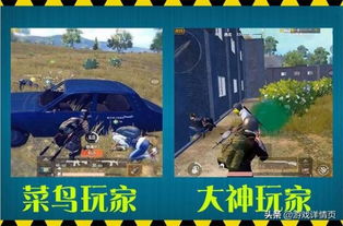 游戏朱罗纪世纪攻略 VS 精英小游戏游戏攻略 游戏朱罗纪世纪攻略 VS 精英小游戏游戏攻略
