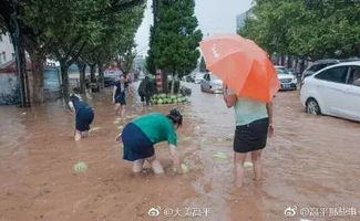 晋城暴雨车辆被淹冰箱在水中漂 晋城暴雨车辆被淹冰箱在水中漂