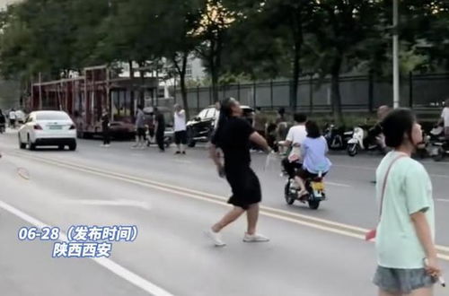 多人在马路中间打羽毛球 交警回应 多人在马路中间打羽毛球 交警回应