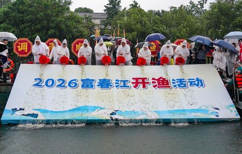 富春江第一网江鲜鲜到掉眉毛 富春江第一网江鲜鲜到掉眉毛
