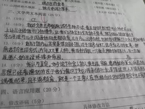 “中考作文阅卷30秒快速打分”不实 “中考作文阅卷30秒快速打分”不实