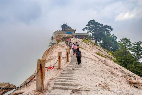 名山景区为了抢人爬山直接卷起来了 名山景区为了抢人爬山直接卷起来了
