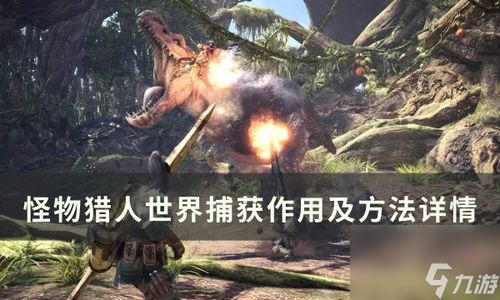 怪兽追捕游戏攻略 VS 橙光游戏宅女攻略制霸 怪兽追捕游戏攻略 VS 橙光游戏宅女攻略制霸