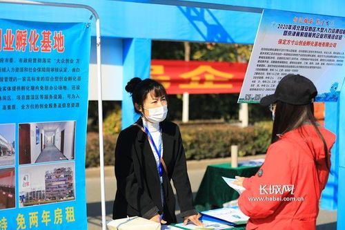 雄安新区80家单位招聘5600余个岗位 雄安新区80家单位招聘5600余个岗位