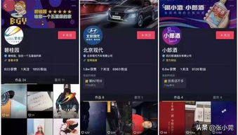 游戏加分攻略 VS 抖音广告游戏升星攻略 游戏加分攻略 VS 抖音广告游戏升星攻略