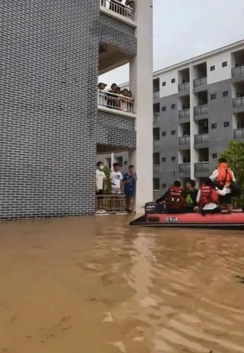 广西贵港上万名师生被困 广西贵港上万名师生被困