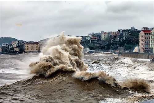台风巴威来袭 台州大陈岛掀十米巨浪 台风巴威来袭 台州大陈岛掀十米巨浪
