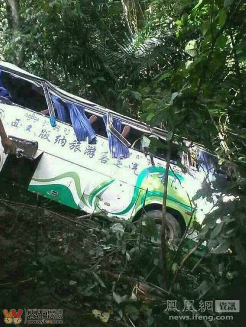 四川一旅游车坠入河滩 多部门救援 四川一旅游车坠入河滩 多部门救援