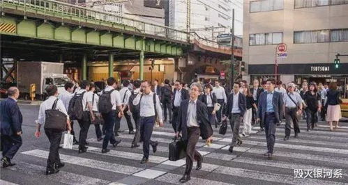 放弃日本后 澳洲人正疯狂涌向中国