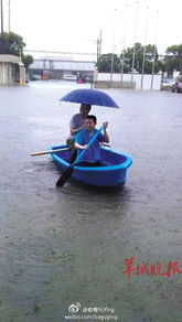 上海遭遇暴雨 锦鲤游上马路 上海遭遇暴雨 锦鲤游上马路