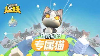 婚姻物语攻略游戏 VS 大猫咪游戏游戏攻略视频 婚姻物语攻略游戏 VS 大猫咪游戏游戏攻略视频
