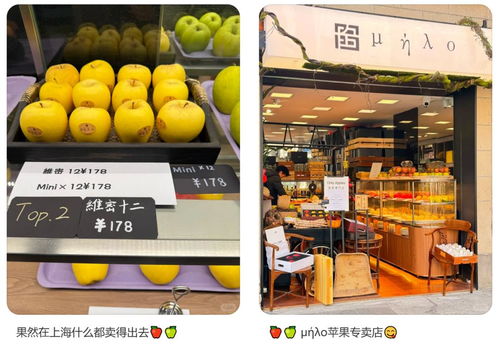 上海一店只卖苹果 有一款单颗399元 上海一店只卖苹果 有一款单颗399元