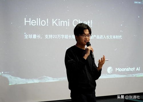 月之暗面的杨植麟到底是谁 月之暗面的杨植麟到底是谁