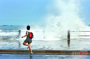 上百斤重水泥柱被巨浪拍断冲上岸 上百斤重水泥柱被巨浪拍断冲上岸