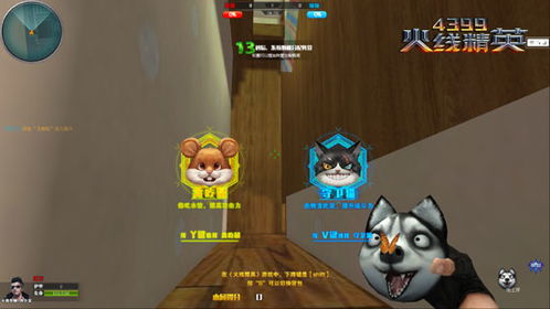猫咪游戏大全游戏攻略 VS 游戏orika攻略