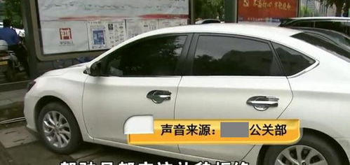 正妻养成攻略游戏攻略 VS 网络老虎机开游戏攻略 正妻养成攻略游戏攻略 VS 网络老虎机开游戏攻略