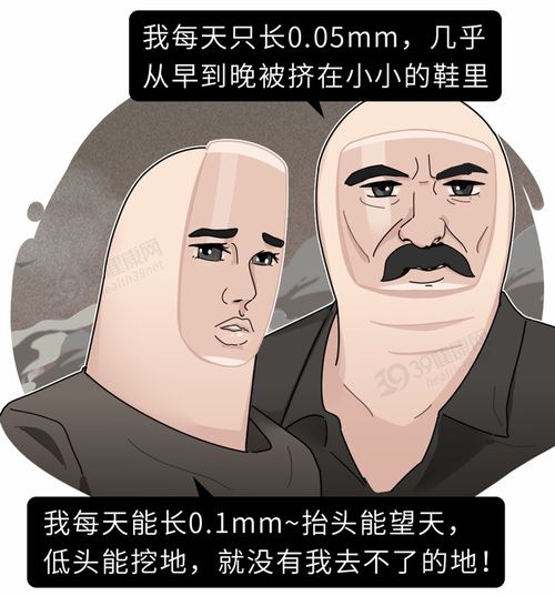 虚弱游戏攻略 VS 游戏躲避大鸟攻略 虚弱游戏攻略 VS 游戏躲避大鸟攻略