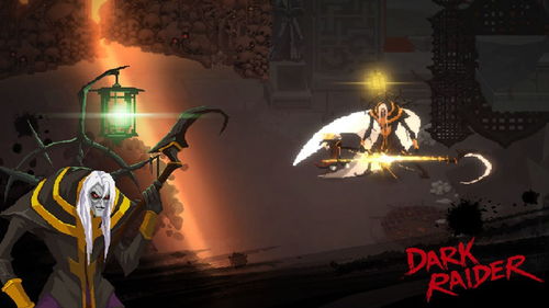 darkraider游戏攻略 VS 宫廷游戏自设攻略