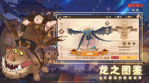 回合制的驯龙游戏攻略 VS 抽牌武藤游戏攻略