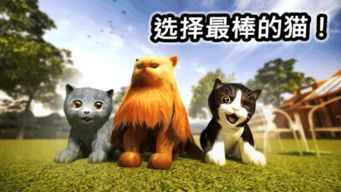 猫咪游戏欢乐攻略 VS 穿越游戏初期攻略 猫咪游戏欢乐攻略 VS 穿越游戏初期攻略