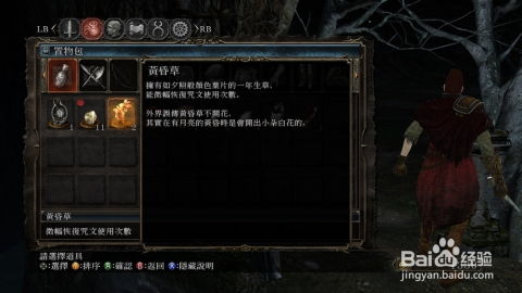 暗黑2出货游戏攻略 VS 能攻略游戏 暗黑2出货游戏攻略 VS 能攻略游戏